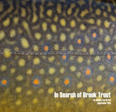 In Search of Brook Trout by Dennis van de Pol september 2011 book cover