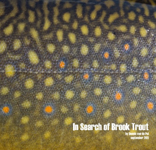 View In Search of Brook Trout by Dennis van de Pol september 2011 by Dennis van de Pol
