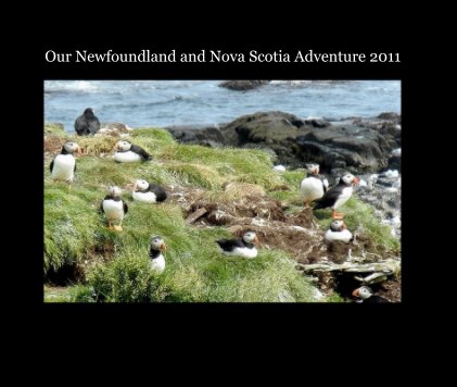 Our Newfoundland and Nova Scotia Adventure 2011 book cover