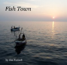 Fish Town book cover