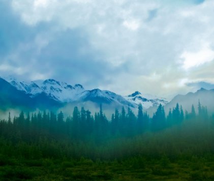 My Favourites book cover