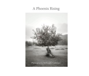 A Phoenix Rising book cover