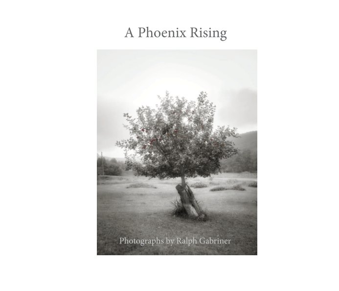 View A Phoenix Rising by Ralph Gabriner