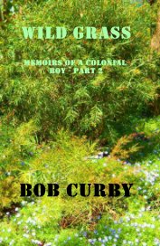 WILD GRASS Memoirs of a colonial boy - Part 2 book cover