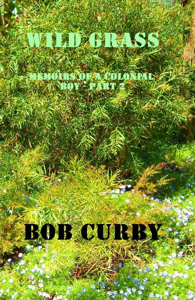 WILD GRASS Memoirs of a colonial boy - Part 2 nach Bob Curby anzeigen