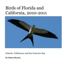 Birds of Florida and California, 2010-2011 book cover