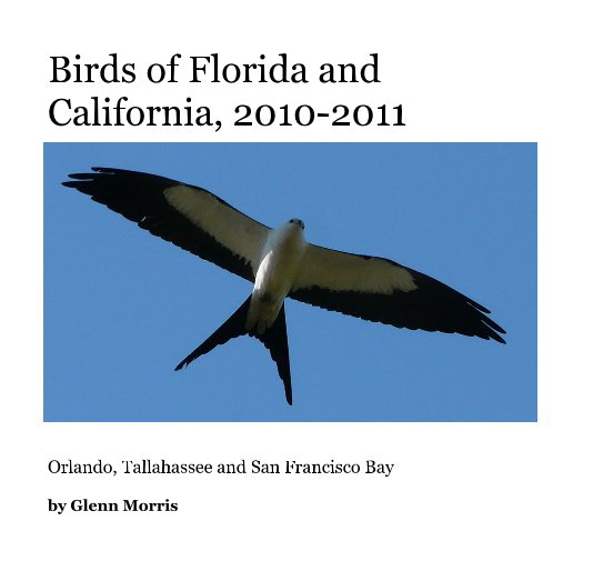 View Birds of Florida and California, 2010-2011 by Glenn Morris