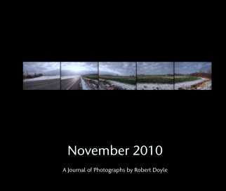 November 2010 book cover