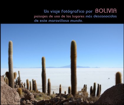 Un viaje fotógrafico por BOLIVIA paisajes de uno de los lugares más desconocidos de este maravilloso mundo. book cover