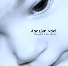 Andalyn Noel book cover