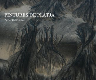 PINTURES DE PLATJA book cover