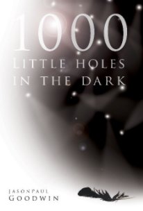 1000 Little Holes in the Dark book cover