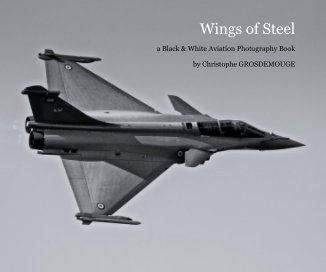 Wings of Steel book cover