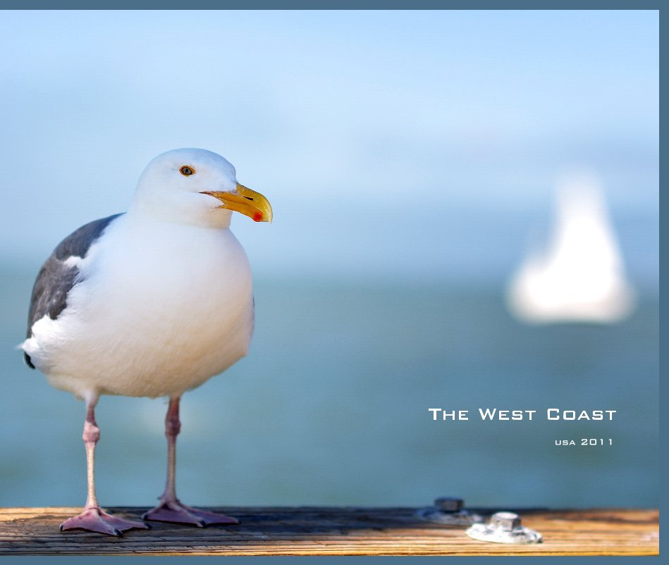 View The West Coast by Ray Soares