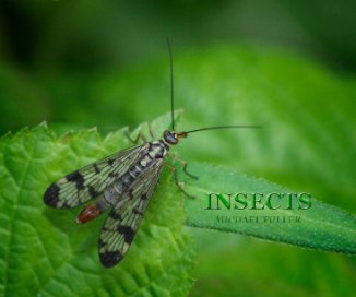 INSECTS book cover