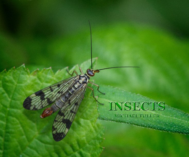 Ver INSECTS por MIchael Fuller