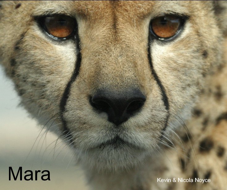 View Mara by Kevin & Nicola Noyce