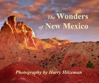 The Wonders        
of  New Mexico book cover