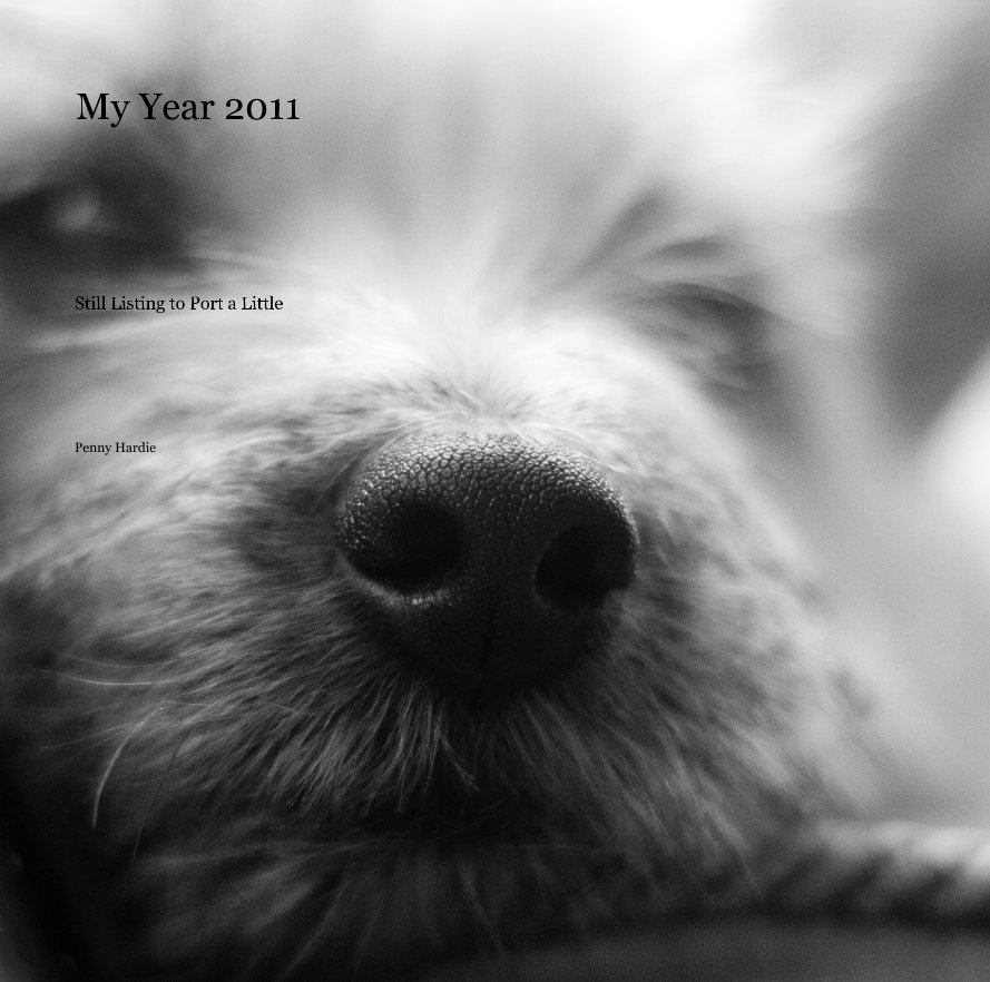 View My Year 2011 by Penny Hardie