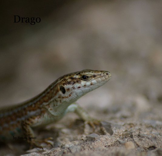 Drago nach Susan Scott anzeigen