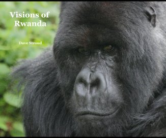Visions of Rwanda book cover