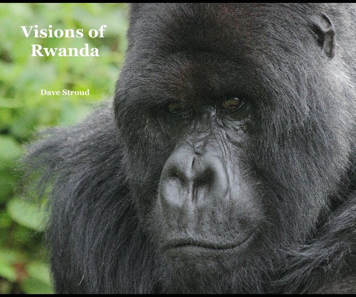 View Visions of Rwanda by Dave Stroud