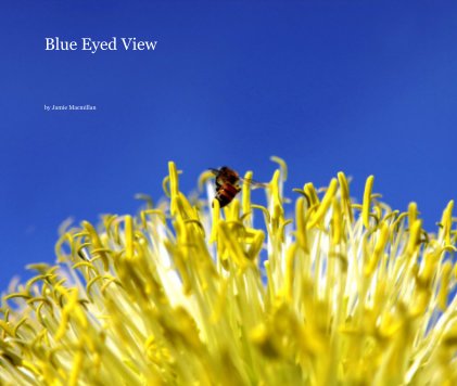 Blue Eyed View book cover