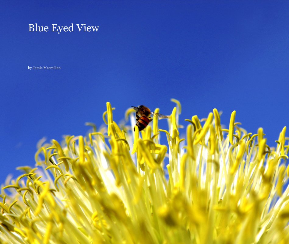View Blue Eyed View by Jamie Macmillan