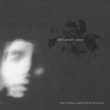 Still Small Voice book cover