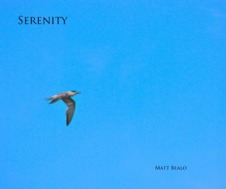Serenity book cover