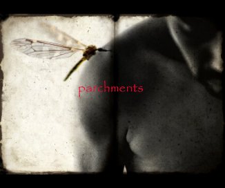 parchments book cover