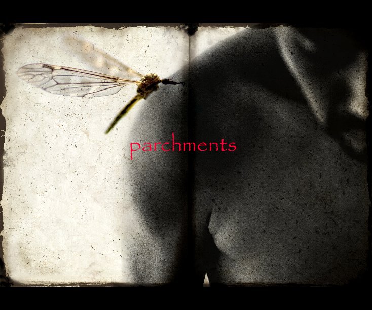 View parchments by J.T. Loh