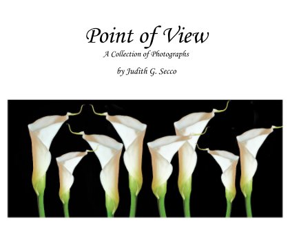 Point of View A Collection of Photographs book cover