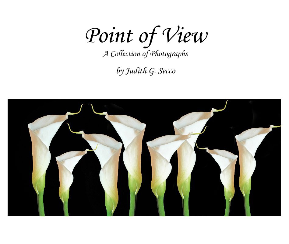 View Point of View A Collection of Photographs by Judith G. Secco
