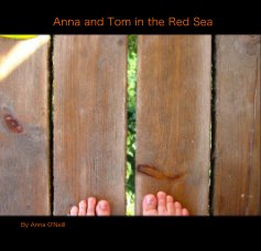 Anna and Tom in the Red Sea book cover