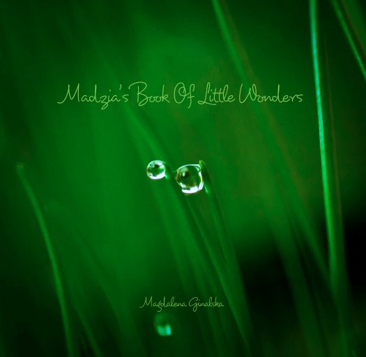 View Madzia's Book Of Little Wonders by Magdalena Ginalska