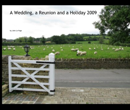 A Wedding, a Reunion and a Holiday 2009 book cover