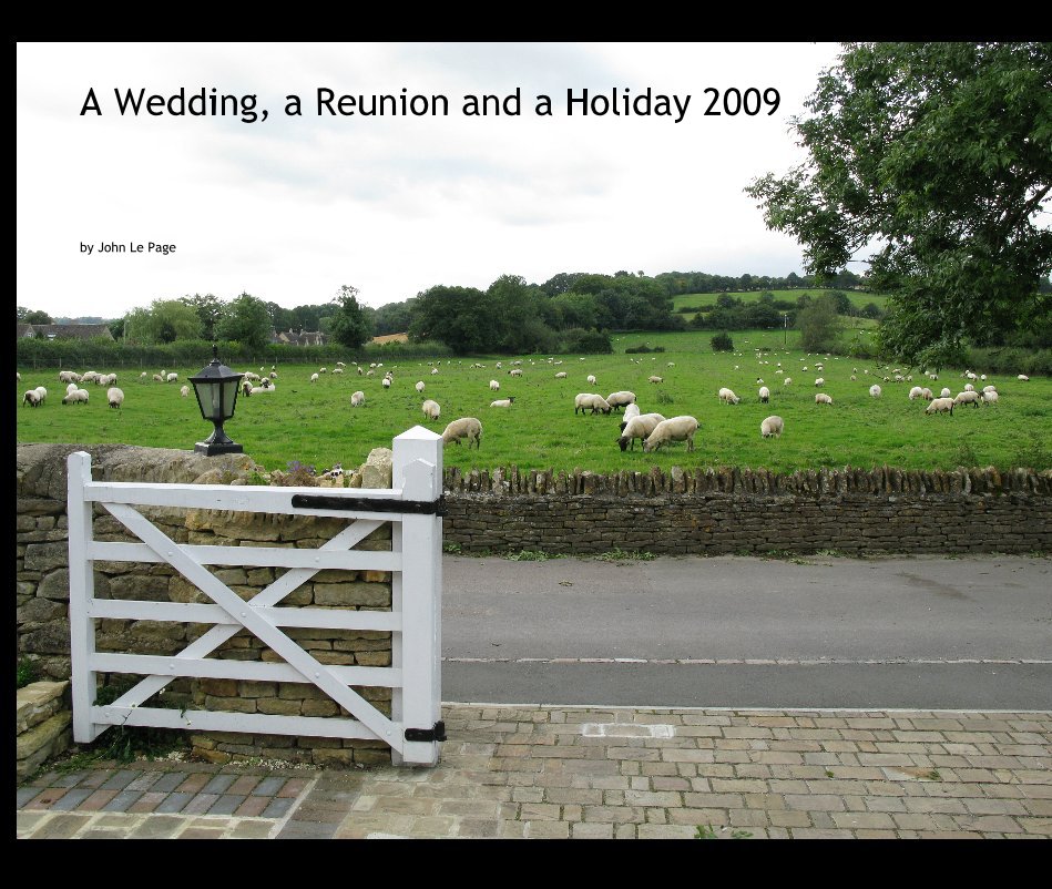View A Wedding, a Reunion and a Holiday 2009 by John Le Page