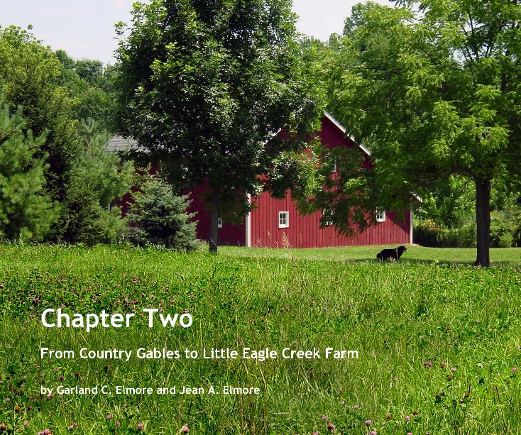 View Chapter Two by Garland C. Elmore and Jean A. Elmore