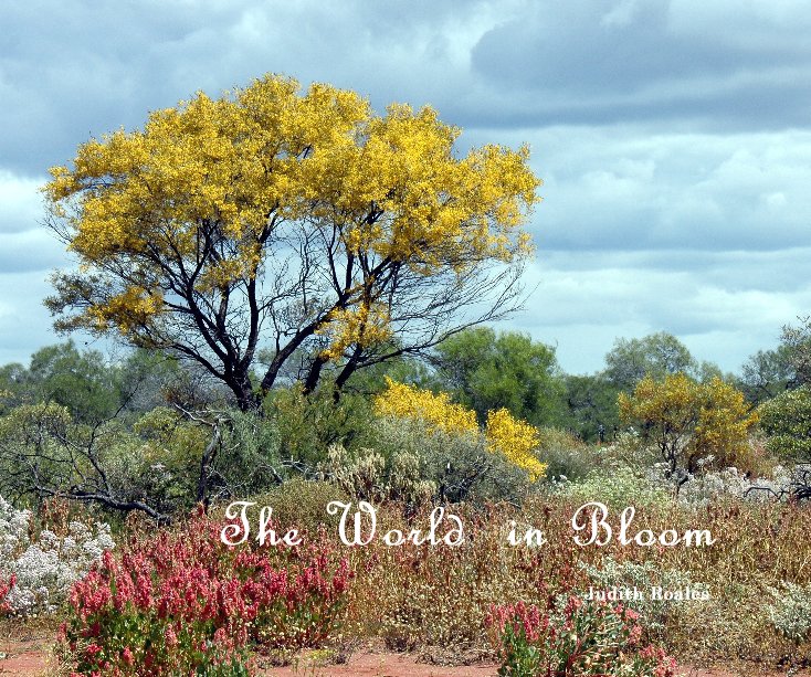 View The World in Bloom by Judith Roales