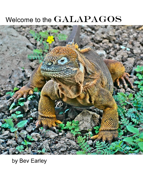 View Welcome to the Galapagos by Bev Earley