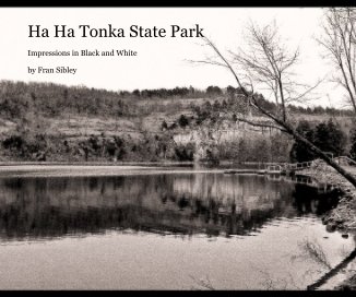 Ha Ha Tonka State Park book cover