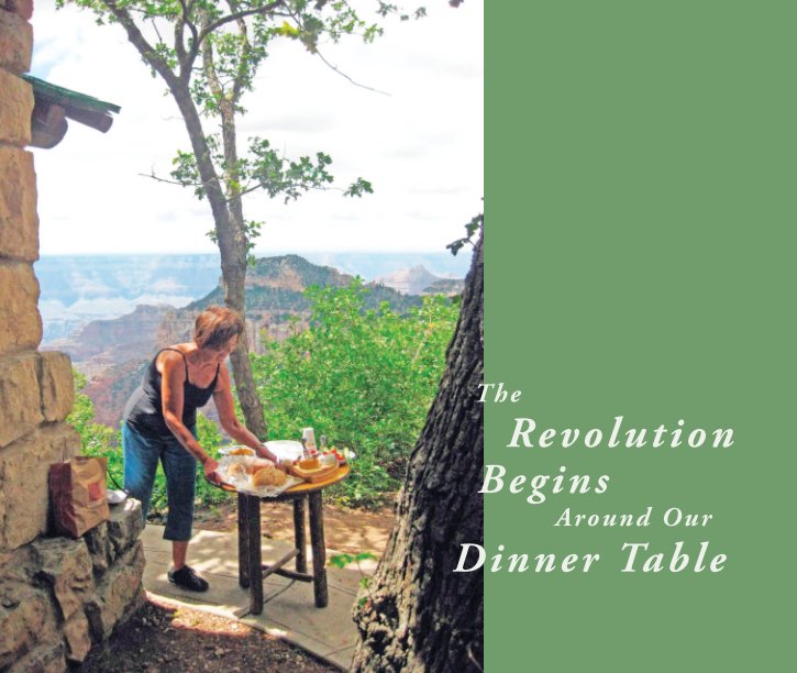 Bekijk The Revolution Begins Around Our Dinner Table op Wild Blue Books