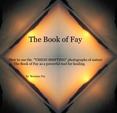 The Book of Fay book cover