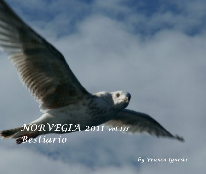 NORVEGIA 2011 vol III Bestiario book cover