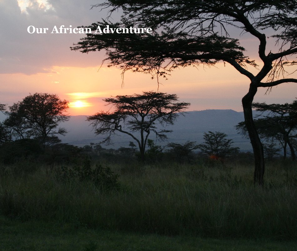 View Our African Adventure by Rachel Spitzer & Marc Kates