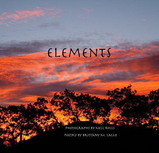Ver Elements por Poetry by Brittany M. Lallo