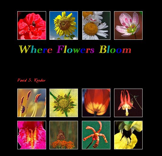 Visualizza Where Flowers Bloom di David S. Reeder