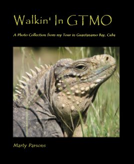 Walkin' In GTMO book cover