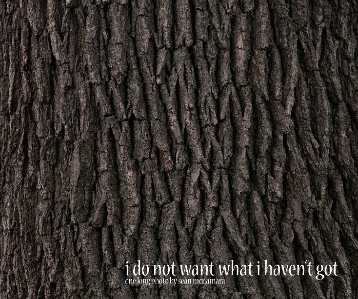 View i do not want what i haven't got by Sean McNamara